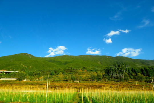 田园风光