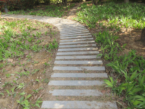 鋪裝園路