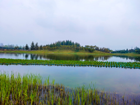 西安鹤鸣湖湿地公园