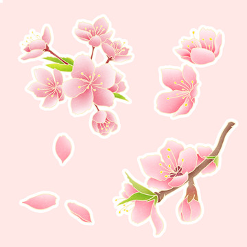 手繪櫻花