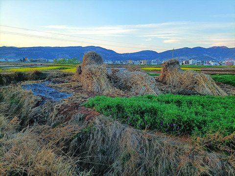 傍晚乡村田野