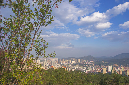 北山望城市风景