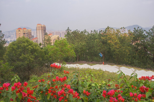 北山之春风景