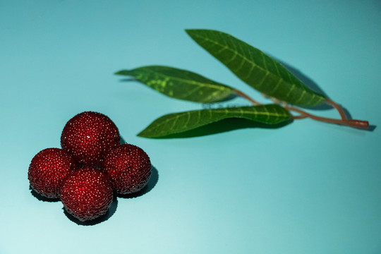 水果新鲜杨梅果美食摄影
