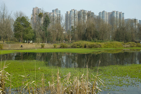 湿地公园低碳城市