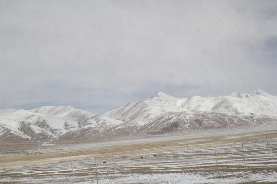 白雪皑皑雪山雪地