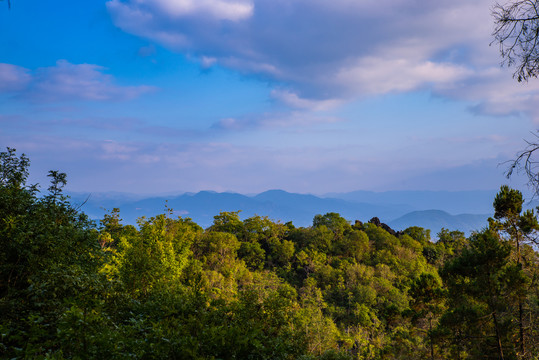 云南普洱山森林公园