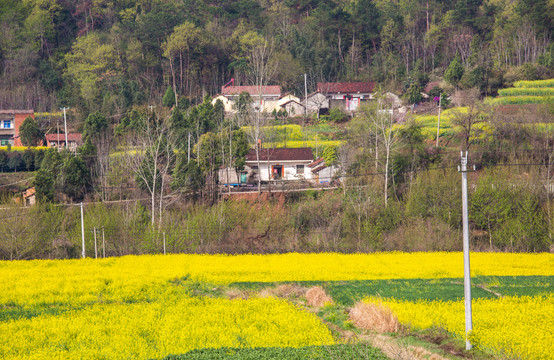 上泉村