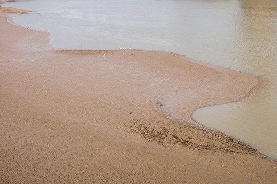 水岸滩涂淤泥