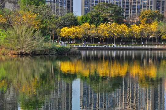 金山湖公园