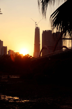 洪湖公园夕阳美景