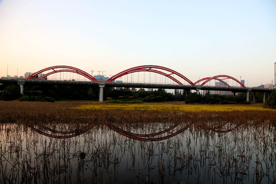 洪湖公园彩虹桥