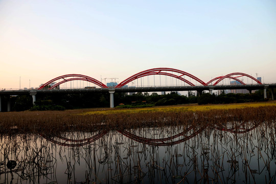 洪湖公园彩虹桥