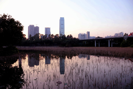 洪湖公园傍晚美景