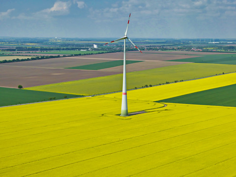 风力发电站与新能源