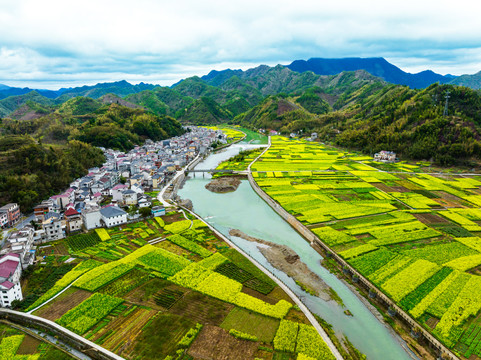 杭州市淳安县临岐村油菜花风景