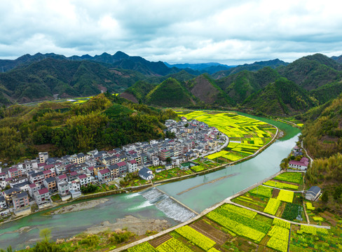 杭州市淳安县临岐村油菜花风景