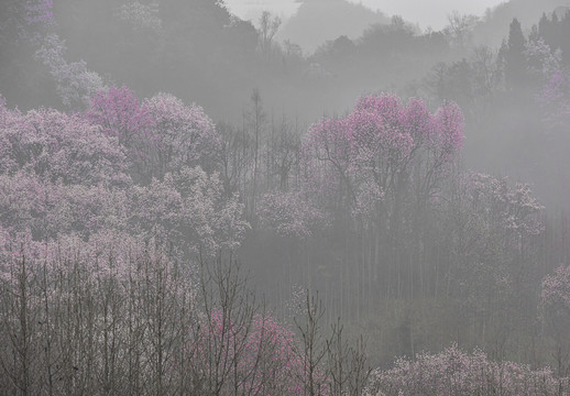 吴家后山