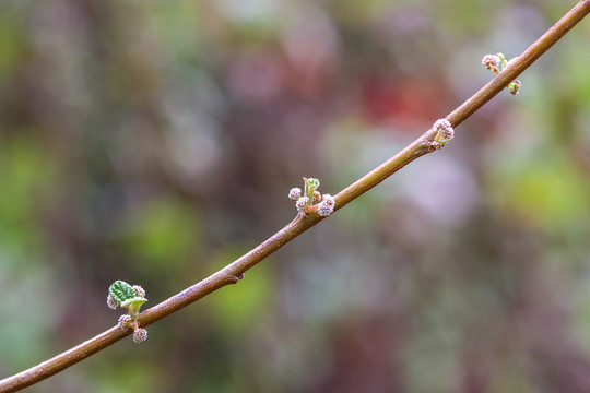 珊瑚礁