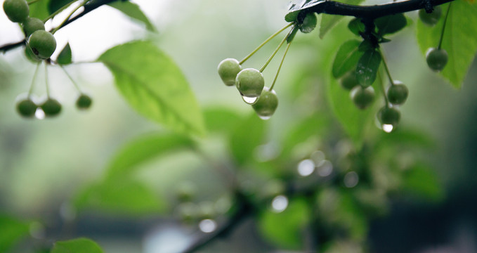 雨水