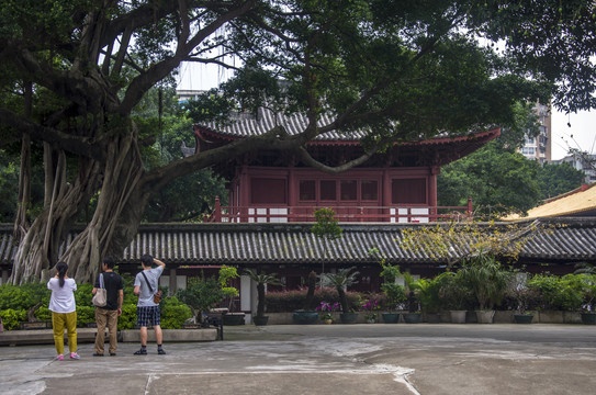 广州光孝寺