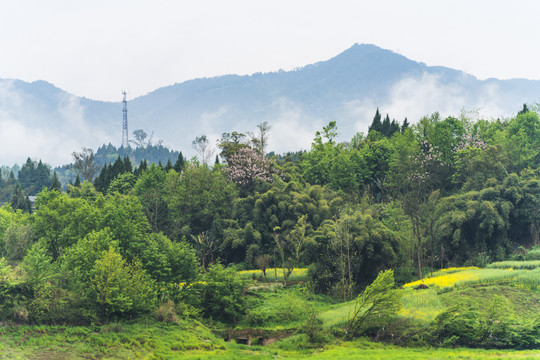 渠江风光