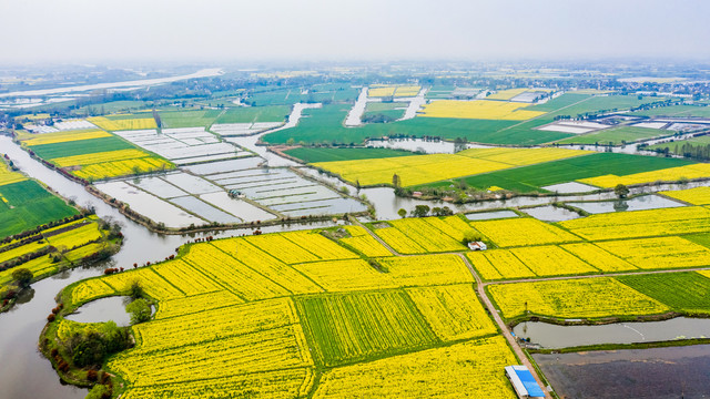 江南水乡油菜花