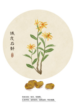 鐵皮石斛