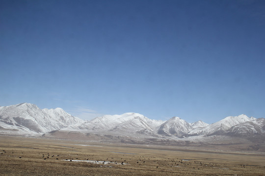 雪山山脉