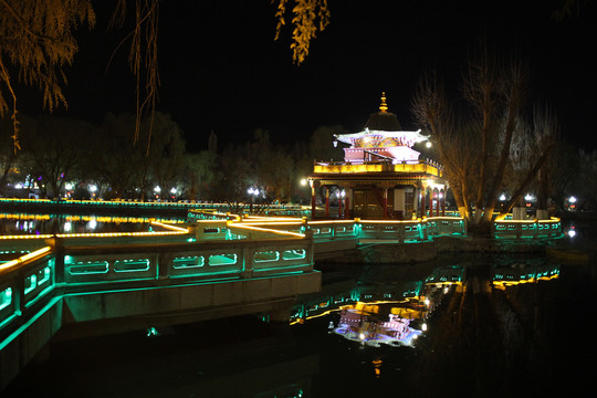 布达拉宫夜景