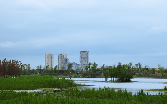 遂宁五彩缤纷路湿地公园