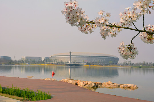 成都东安湖樱花及综合运动场