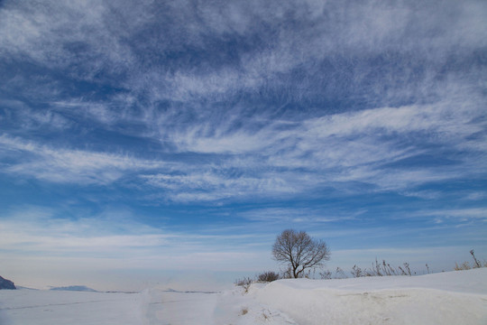 黑龙江冬雪景蓝天白云大好河山