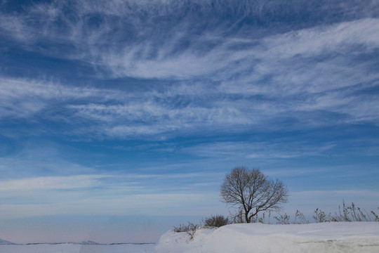 黑龙江冬雪景蓝天白云大好河山