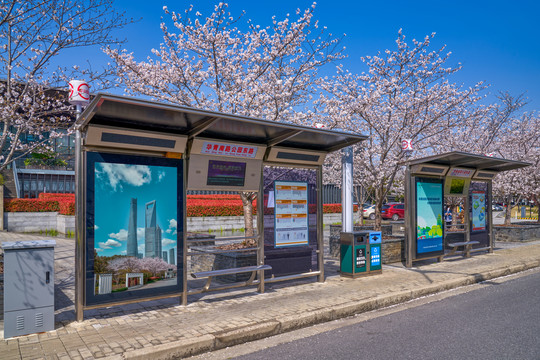 春天的公交站