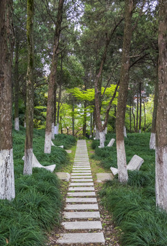 公園小路