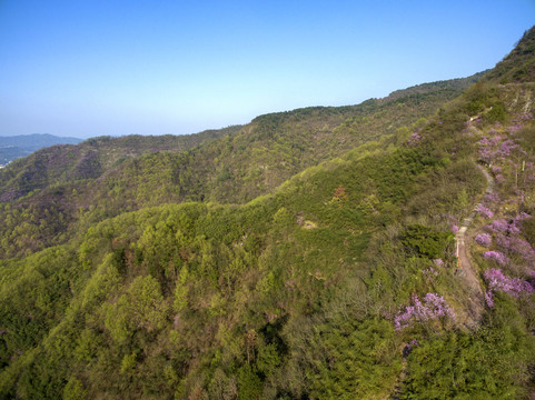 浙江兰溪转轮岩紫荆花航拍