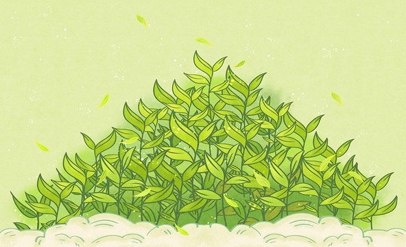 茶葉茶山茶包裝手繪插畫