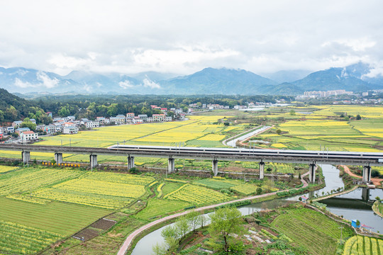 京广高铁动车驶过春天的田野