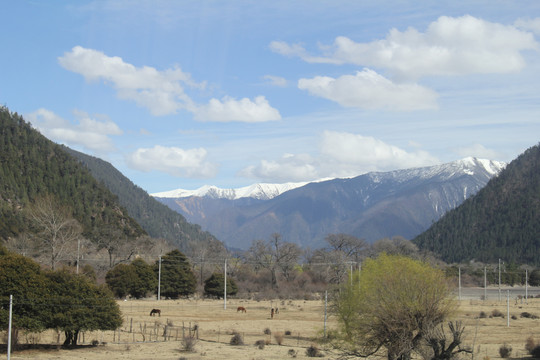 高原山