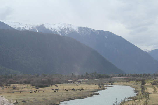 高原雪山远山