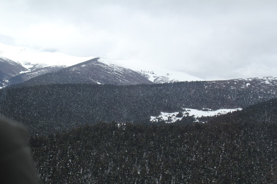 冬季雪山丛林