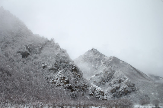 云雾雪山