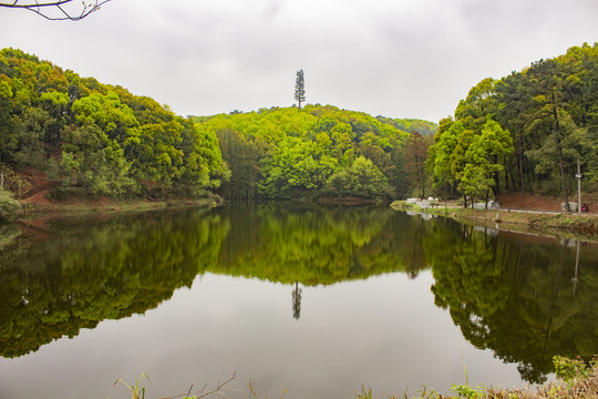 湖南省植物园鸳鸯湖