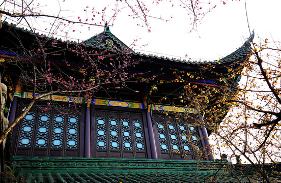 重庆鸿恩寺