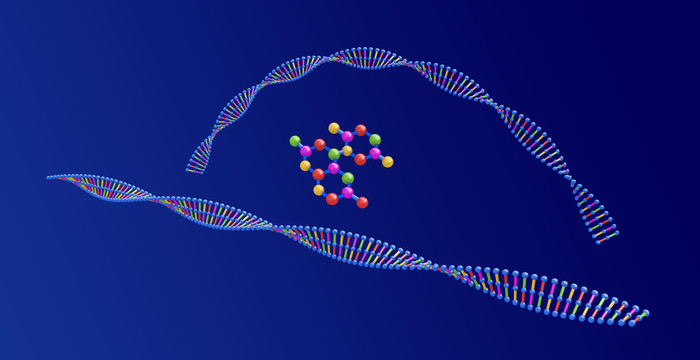 双螺旋DNA