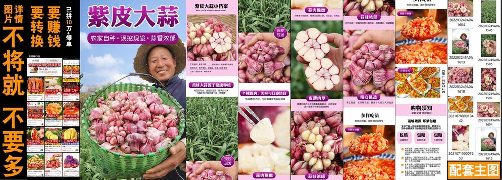 紫皮大蒜詳情
