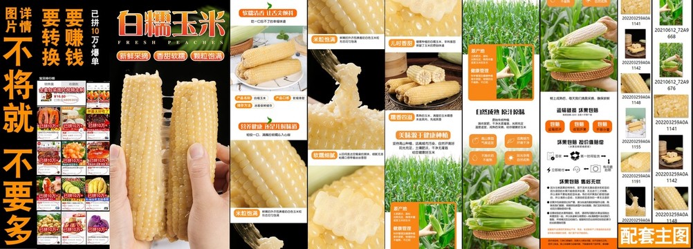 白糯玉米詳情