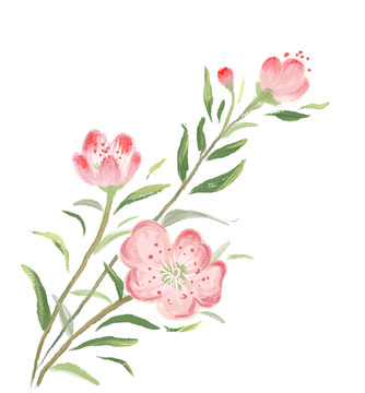 桃花