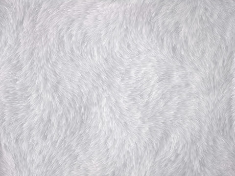白色毛發(fā)貼圖